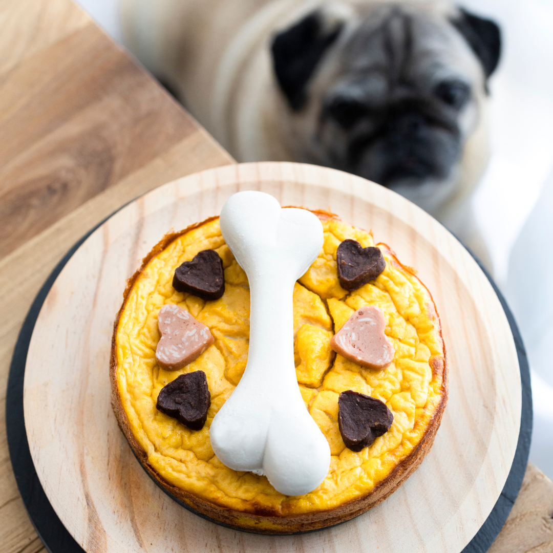 Homemade puppy outlet food recipes uk