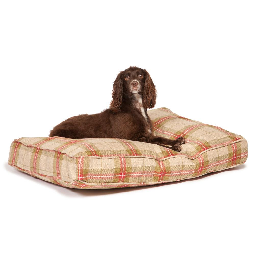 Danish design outlet dog bed large