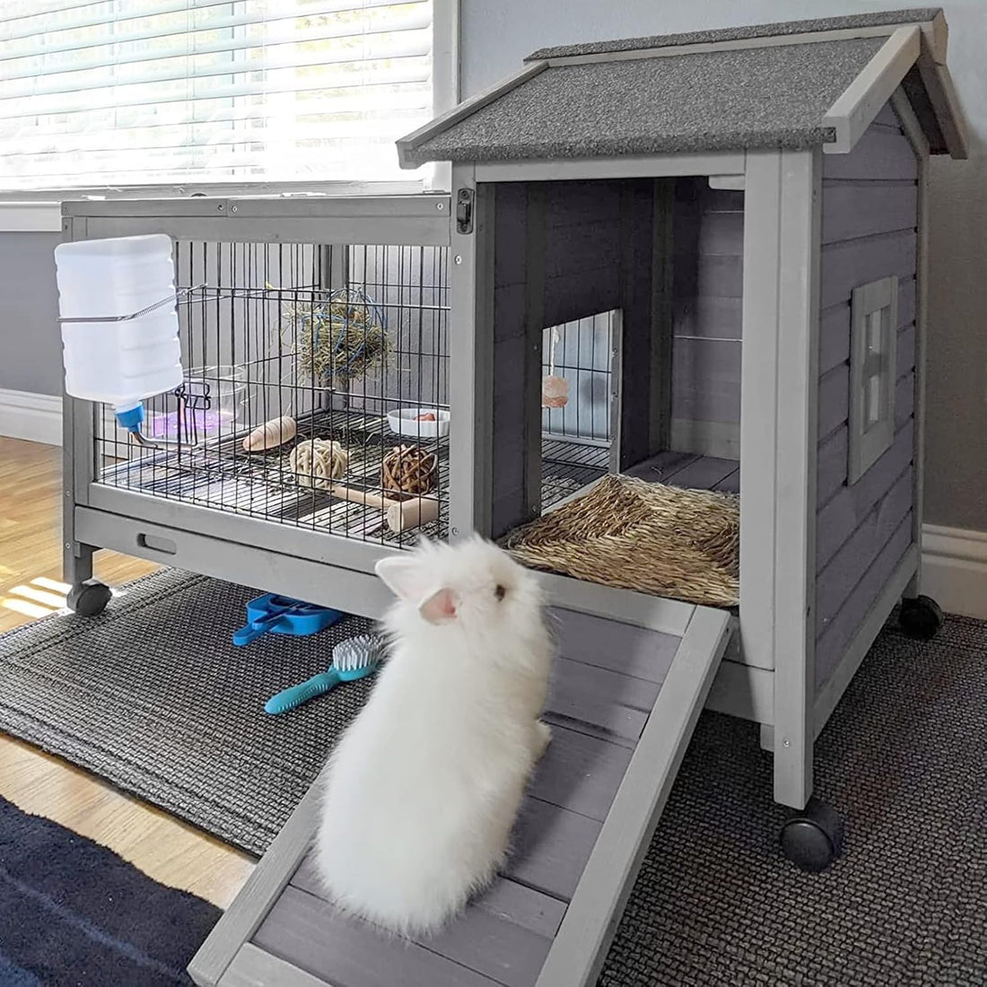 Choosing the Best Rabbit Hutch: A Complete Guide for Pet Owners