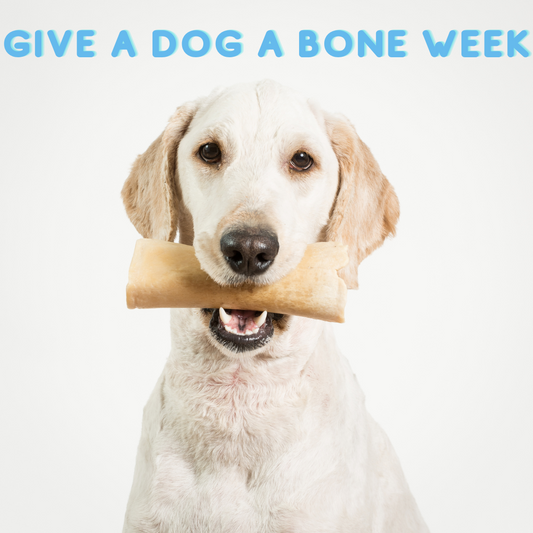 A Week of Wagging Tails: Honouring Give a Dog a Bone Week