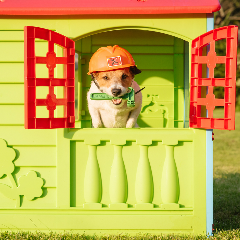 Dog playhouse best sale