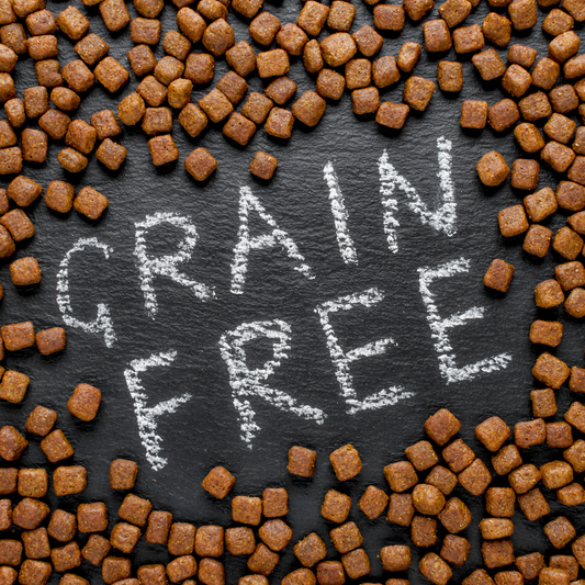 The Grain-Free Revolution: Why Grain-Free Dog Food Is Better