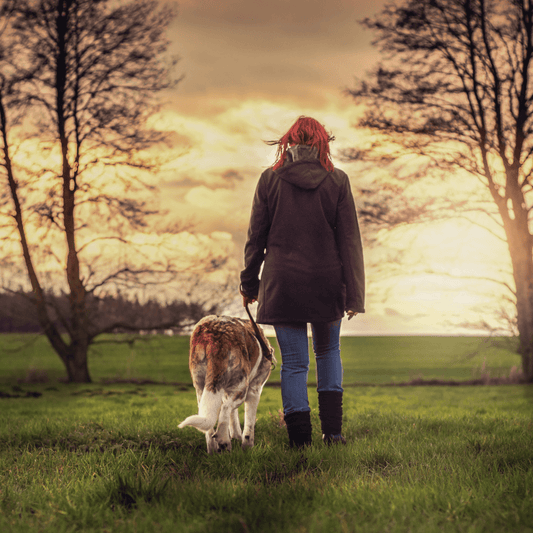 How to Stay Safe on Night Walks? - Get Set Pet