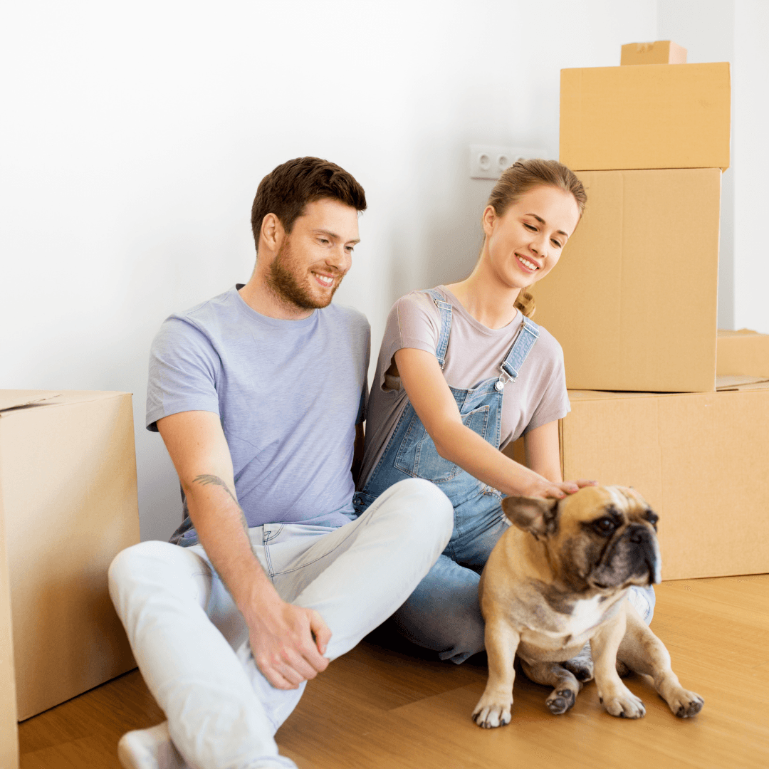 Moving House With a Dog - Get Set Pet