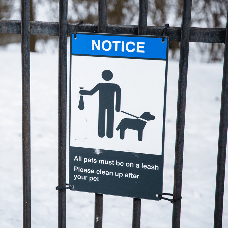 Dog poo waste hanging from a tree in a black plastic bag Stock Photo