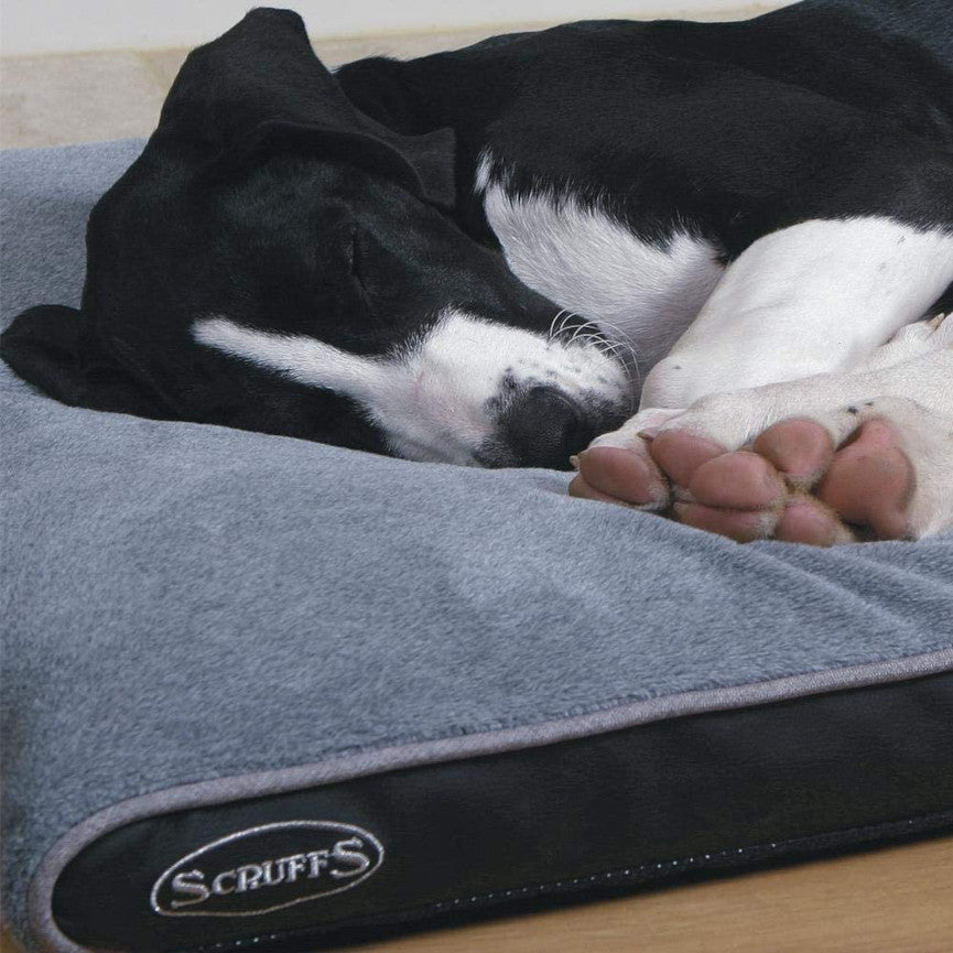 Scruffs memory hotsell dog bed