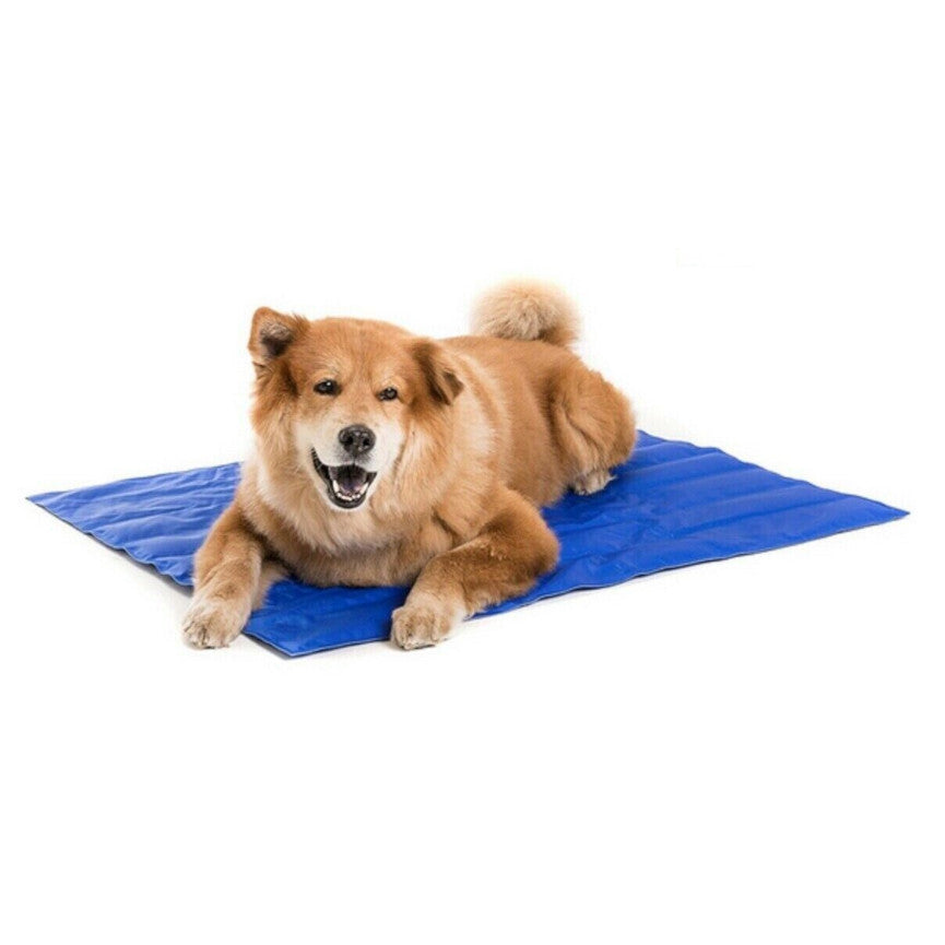 Dog cooling mat sales costco