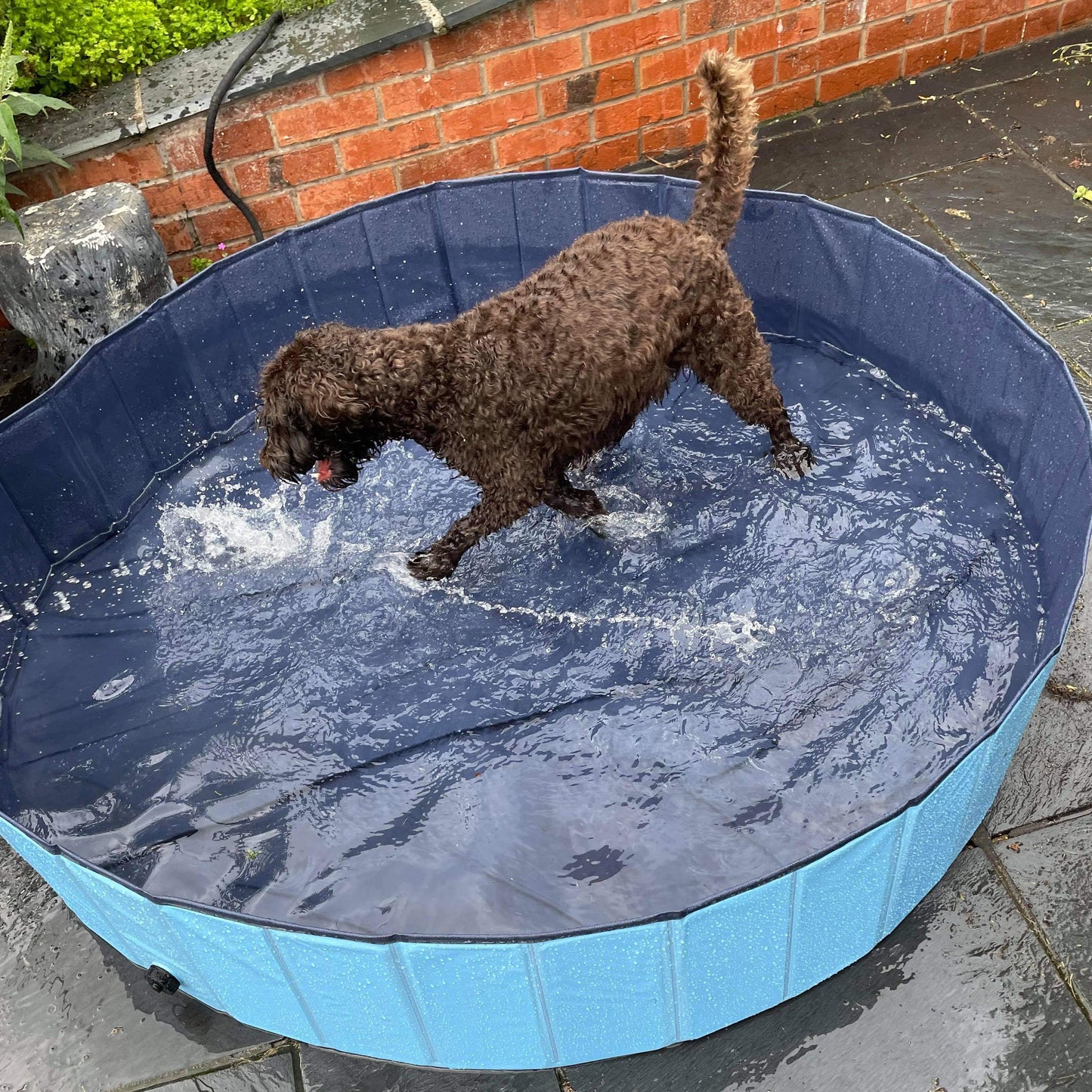 Sparky And Spud Cool Pool 160cm x 30cm